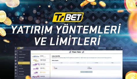 Zerabet'te Bahis Yaparken Kullanıcı Güvenliği